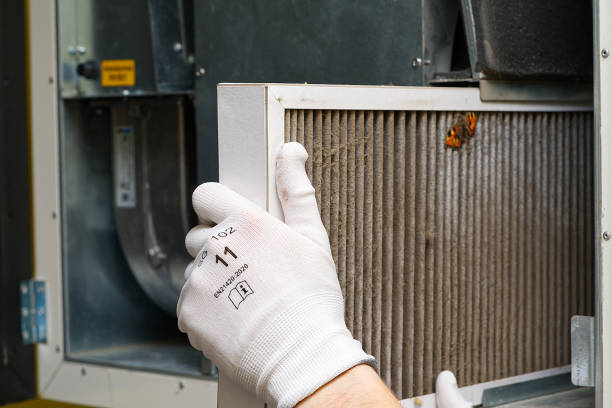 Best Affordable Duct Cleaning Services  in Palmetto Bay, FL