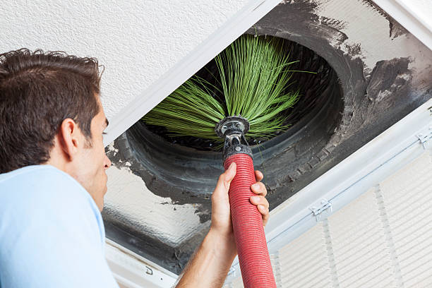 Best Best Air Duct Cleaning Near Me  in Palmetto Bay, FL
